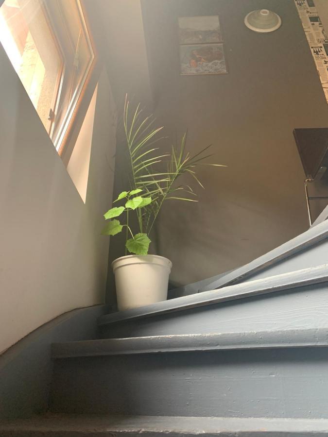 פלובדיב Trakia Street Apartment מראה חיצוני תמונה